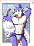  biceps briefs bulge canine dog exile exile_(road_rovers) kcee male mammal muscles pinup pose r34 realkct road_rovers russian solo speedo swimsuit trunks underwear 