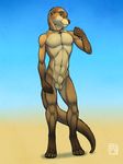  anthro balls digitigrade ear_piercing kiva looking_at_viewer male mammal mustelid navel necklace nude otter piercing pose sheath simple_background slim smile solo toned tsaiwolf whiskers yellow_eyes 