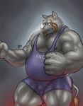  anthro biceps big_muscles brown_hair bulge chubby clothing facial_hair fb1907 fist fur goatee grey_nipples grey_skin hair horn male mammal musclegut muscles nipples pecs rhinoceros solo standing sweat tail_tuft tight_clothing tuft wrestling_singlet 