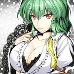  arm_belt black_bra blouse bra bra_peek breasts cleavage collarbone finger_to_mouth fingernails from_side front-tie_top green_hair hand_on_own_chest kazami_yuuka lace lace_bra large_breasts lipstick long_fingernails looking_at_viewer makeup red_eyes solo touhou underwear white_blouse y2 