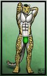  4_toes abs anthro aolun aolun_(artist) biceps black_fur black_hair body_markings bulge cheetah clothed clothing digitigrade feline fur green_eyes green_hair hair hindpaw jockstrap king_cheetah looking_at_viewer male mammal markings muscles paws pecs plain_background pose solo spots toes toned topless underwear white_fur yellow_fur 