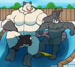  balls biceps big_muscles canine dog duo edit erection great_dane greyhound hound_(character) houndgrey humaniod_penis humanoid_penis male mammal marsupial muscles nude opossum outside pecs penis pool seated size_difference underwear water 