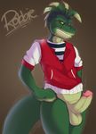  anthro balls bottomless brown_eyes clothing dinosaur dinosaurs_(series) erection green_penis green_scales grin hands_on_hips humanoid_penis kabier looking_at_viewer male penis reptile robbie_sinclair robbie_sinclair_(dinosaurs) scalie shirt solo sweater 