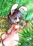  animal_ears bamboo bamboo_forest black_hair bunny_ears fifiruu forest inaba_tewi jewelry mouth_hold nature pendant red_eyes short_hair solo touhou wavy_hair 