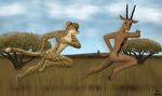  butt cheetah dan_scarlet duo feline gazelle grass horn humor male mammal nude plant savannah sky smile wood 