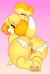  animal_crossing anthro anus big_butt butt canine disembodied_hand dog female hoshime isabelle_(animal_crossing) looking_at_viewer looking_back mammal nintendo nude pussy solo video_games 