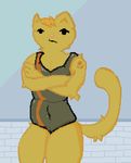  camel_toe cat feline female fur looking_at_viewer mammal one-piece_swimsuit pixel pose solo swimsuit yellow_fur 