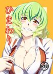  blush breasts brown_eyes cleavage collar_tug collarbone cover cover_page green_hair grin h-new kazami_yuuka large_breasts looking_at_viewer open_clothes open_shirt open_vest shirt smile smug solo sweat touhou translated unbuttoned upper_body vest 