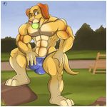  aaron_(artist) abs anthro ball balls biceps bulge canine dog golden_retriever male mammal muscles park pecs pepsi_(fa) playful retriever ross standing underwear 