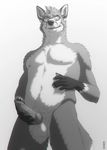  anthro balls canine erection eyewear fox fur glasses happy holding_penis kannos knot looking_at_viewer looking_down male mammal muscles navel nipples pecs penis sharp_teeth smile solo standing teeth vein veiny_penis 