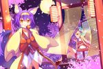  animal_ear_fluff animal_ears bad_id bad_pixiv_id blonde_hair blush bug butterfly candy_apple cherry_blossoms chestnut_mouth cup food fox_ears fox_tail glasses hair_ornament hairband hatsuse_izuna insect japanese_clothes kinoshita_neko lantern long_hair looking_at_viewer miko_(no_game_no_life) multiple_girls no_game_no_life orange_eyes petals purple_hair sakazuki short_hair sitting tail wide_sleeves 