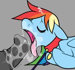  animal_genitalia collar duo equine erection eyes_closed fellatio female feral friendship_is_magic hair horse horsecock male mammal multi-colored_hair my_little_pony open_mouth oral oral_sex pegasus penis pony rainbow_dash_(mlp) rainbow_hair saltedtea sex solo_focus tongue tongue_out wings 