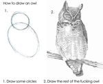  how_to humor owl plain_background sketch solo text unknown_artist white_background 