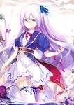  bad_id bad_pixiv_id bow bug butterfly hair_bow hair_ornament hair_ribbon insect long_hair nyori open_mouth petals pixiv_fantasia pixiv_fantasia_fallen_kings purple_eyes purple_hair ribbon shorts smile solo thighhighs 