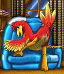  anus avian banjo-kazooie barefoot beak bird blush book chair cute feathers female feral happy inside kazooie kitsune_youkai looking_at_viewer looking_back nude open_mouth pussy room smile solo squint wings 