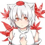  animal_ears autumn_leaves bad_id bad_pixiv_id bare_shoulders blush breasts detached_sleeves hat inubashiri_momiji leaf leaf_background looking_at_viewer medium_breasts pom_pom_(clothes) red_eyes short_hair silver_hair smile solo tokin_hat touhou tuto_(nonokuro-psyche-delic) upper_body wolf_ears 