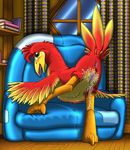  anus avian banjo-kazooie barefoot beak bird blush book chair cute feathers female feral happy inside juice kazooie kitsune_youkai looking_at_viewer looking_back nude open_mouth pussy pussy_juice room smile solo squint wings 