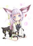  animal_ear_fluff animal_ears blade_&amp;_soul blue_eyes cat earrings fox_ears heart highres jewelry lv21 lyn_(blade_&amp;_soul) shirt short_hair shorts silver_hair sitting smile solo tail 