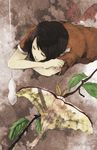  amakura_mio black_hair bug fatal_frame fatal_frame_2 gauss_&lt;counting_on_more_blur highres insect leaf moth short_hair sleeping solo 