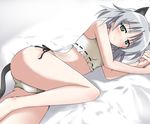  animal_ears bed blush cat_ears cat_tail grey_eyes grey_hair lying nyabe panties sanya_v_litvyak side-tie_panties solo strike_witches tail underwear world_witches_series 