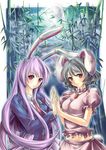  animal_ears bad_id bad_pixiv_id bamboo bamboo_forest black_hair blazer bunny_ears carrot crescent forest full_moon inaba_tewi jacket jewelry lavender_hair lilithbloody long_hair midriff moon multiple_girls nature night pendant red_eyes reisen_udongein_inaba short_hair symmetrical_hand_pose touhou 