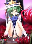  covering covering_crotch green_eyes green_hair hat mille pelvic_curtain shiki_eiki solo touhou 