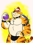  bulge caseyljones cat chubby collar feline hair king koopa looking_at_viewer male mammal mario_bros meowser muscles nintendo plain_background royalty scalie shell solo spikes teeth underwear video_games whiskers yarn 