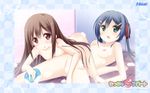  2girls blush breasts chiccha_love_apart nipples tagme_(character) usume_shirou wet 