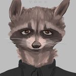 looking_at_viewer male mammal raccoon yonk 