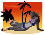  beach breasts canine fcsimba female green_eyes hair mammal palm_tree seaside summer sunbathing sunset wolf 