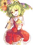  ascot belt flower green_hair hillly_(maiwetea) kazami_yuuka looking_at_viewer open_clothes open_mouth open_vest parasol puffy_short_sleeves puffy_sleeves red_eyes shirt short_sleeves skirt smile solo touhou umbrella vest 