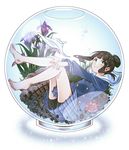  barefoot brown_hair bubble cleiooo fishbowl flower green_eyes hair_bun hamaguchi_ayame idolmaster idolmaster_cinderella_girls jacket legs school_uniform short_hair shorts skirt smile solo underwater 