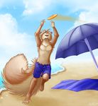  beach_umbrella blonde_hair brown_fur clothing fluffy_tail frisbee fur green_eyes hair male mammal open_mouth ratte rodent sea seagull seaside shorts solo squirrel tan_fur topless towel umbrella water 