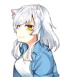  animal_ears black_hanekawa cat_ears hanekawa_tsubasa long_hair monogatari_(series) solo white_hair yellow_eyes 