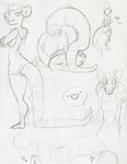  dentia female long_tail mammal prehensile_tail rat ricket ritts rodent sketch thick_tail thighs 
