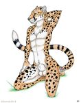  balls cheetah digidrag feline flaccid korrok male mammal nude penis plain_background sheath solo white_background 