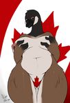  anthro avian big_breasts breasts canada canada_day canadian_goose chubby female flag goose holding_breasts looking_at_viewer navel nightfaux nipples nude pubes pussy solo voluptuous wide_hips 