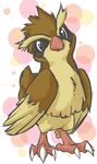  avian beak bird blue_eyes cute lotso nintendo pidgeon pidgey pok&#233;mon pok&eacute;mon solo talons video_games wings 