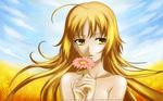  blonde_hair canaan close flowers oosawa_maria yellow_eyes 