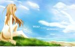  animal_ears beach brown_hair clouds grass horo long_hair nude sky spice_and_wolf tail water wolfgirl 