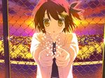  hoshizora_no_memoria tagme 