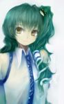  amii detached_sleeves green_hair kochiya_sanae solo touhou yellow_eyes 