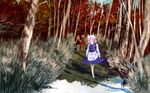  aki_minoriko aki_shizuha amii autumn bad_id bad_pixiv_id hat letty_whiterock multiple_girls nature touhou tree winter 