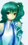  amii detached_sleeves green_hair kochiya_sanae solo touhou yellow_eyes 