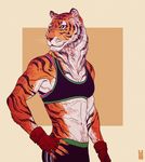  anthro athletic bra breasts claws feline female fingerless_gloves fur gloves hands_on_hips kim_nguyen mammal muscles muscular_female navel small_breasts solo striped_fur tiger underwear whiskers yellow_eyes zarnala 