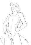  anthro balls black_and_white canine coyote fur hand_on_hip humanoid_penis kurapika looking_at_viewer male mammal monochrome nude penis plain_background pose raven_wolf sketch solo white_background 