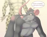 anal cheetah duo feline gay george_(spotty_the_cheetah) male mammal nipples overweight rat rodent russian sex spotty_the_cheetah text translated translation_request 