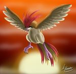  avian beak bird cloud evening flying nintendo pidgeotto pok&#233;mon pok&eacute;mon solo sun sunset talon video_games viprette wings 