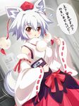  ahoge animal_ears bad_id bad_pixiv_id blush breasts detached_sleeves hat inubashiri_momiji looking_at_viewer marinon notebook pom_pom_(clothes) red_eyes short_hair silver_hair small_breasts solo surprised tail tokin_hat touhou translated wolf_ears wolf_tail 