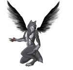  black_claws black_feathers black_nose canine crouching fur gloves_(marking) grey_fur looking_away male mammal markings pink_pawpads plain_background solo source_request unknown_artist white_background white_markings wings wolf 
